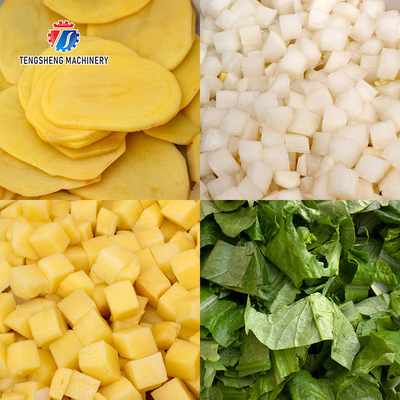 Industrial 2.25KW Vegetable Potato Cutting Slicer Machine (TS-Q118)