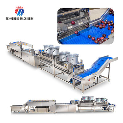 Revolutionize Your Production Process with Our Fruit And Vegetable Processing Line