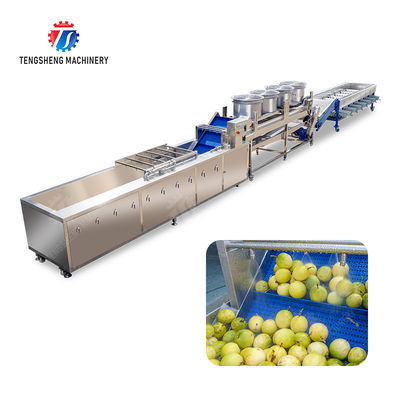 Silvery Personalization Passion Fruit And Vegetable Processing Line Fruit Cleansing Drying