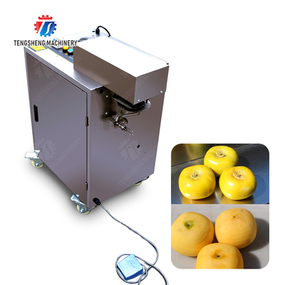 2025 Final Product X Fruit And Vegetable Processing Line for Processing of Fruits and Vegetables