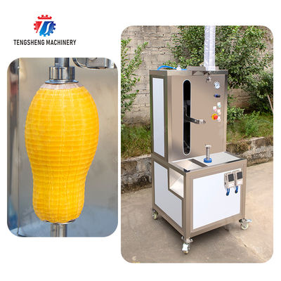 papaya chieh-qua pumpkin wax gourd pineapple Vertical single knife peeling machine watermelon Hami Melon Peeling polishing