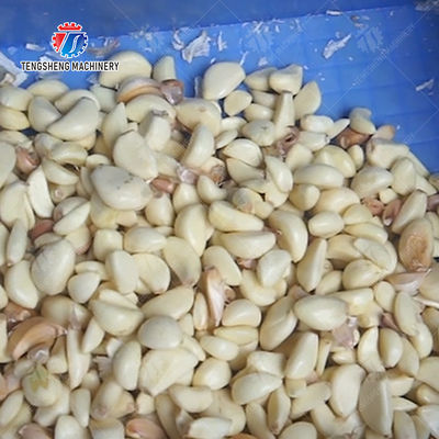 Garlic splitting machine minced garlic processing production Line