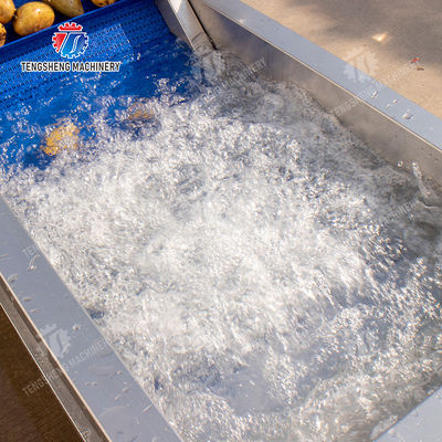 Passion Fruit Kiwi Fruit Mango Strawberry lemon ginger kale Celery apple Tomato orange Baby Cabbage Chinese Cabbage Cabbage corn chili Washer Washing Dryer  Pre-foaming elevator