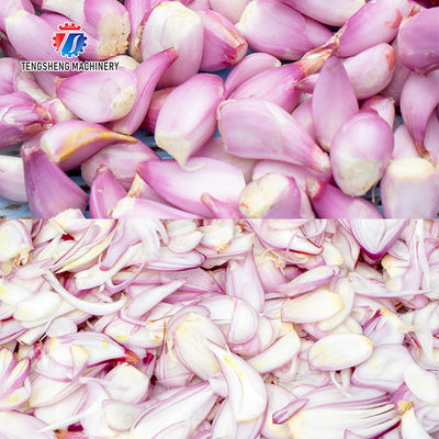 Industrial Garlic Vegetable Processing Machine 0.375KW Automatic Cutting Machine