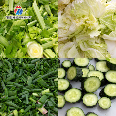 2.25KW Vegetable Rhizome Coleslaw Potato Shredder Machine Tengsheng