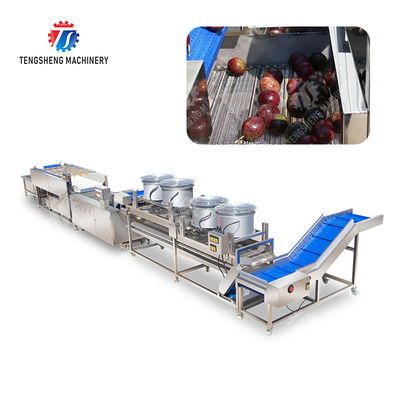 Revolutionize Your Production Process with Our Fruit And Vegetable Processing Line