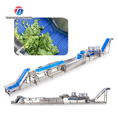 1500KG/H Fruit And Vegetable Processing Line cleaning Sorting Machine