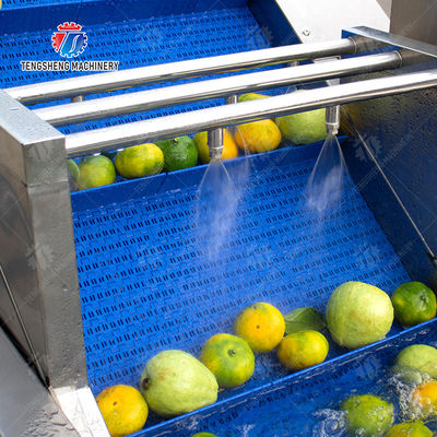 Customized Driven Pesticide Exclude Vegetable Processing Line , Centrifuging Tomato Processing Line