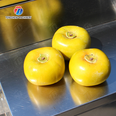 2025 Final Product X Fruit And Vegetable Processing Line for Processing of Fruits and Vegetables