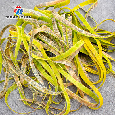 Vertical single knife peeling machine Vegetable papaya chieh-qua pumpkin wax gourd Ginger Potato Carrot Taro Sweet potato Yam peeler