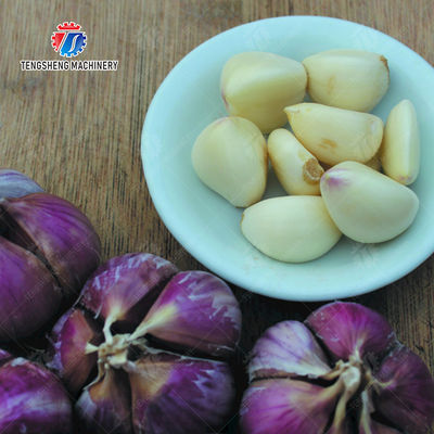 Garlic Peeling Machine garlic Destoning Peeling & polishing processing production