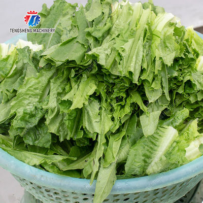 Fruit and Vegetable Draining Machine Fruit Vegetable Onions Herbs Saiko persimmon Carrot radish Cabbage Shiitake mushrooms Mushrooms Bamboo shoots Wash Cleaning Dryer Drying Ginger onion garlic