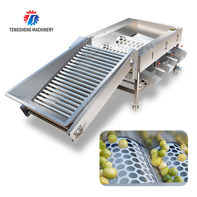 Jabłko Pasja Maszyna do sortowania owoców i warzyw Mandaryna Pasja owoce awokado wiśnia Mango gruszka banana Mangosteen owoce kiwi Owoce Pomarańczowo Warzywa Łoskawka Kapusta Selera Kał Gradyfikacja