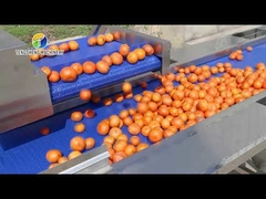 Industrial Fruit and Vegetable Automatic Elevator Food Conveying