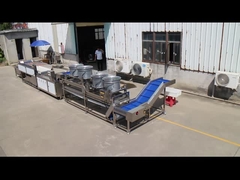 Wprowadź swoją linię przetwarzania owoców i warzyw na kolejny poziom z równoległą maszyną szczotkowania TS-M100